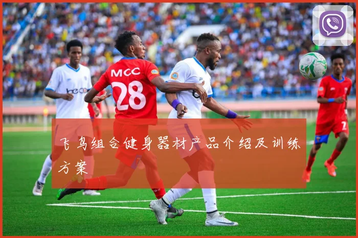 飞鸟组合健身器材产品介绍及训练方案